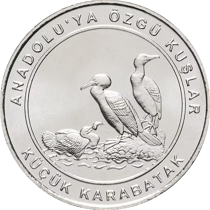 Küçük Karabatak